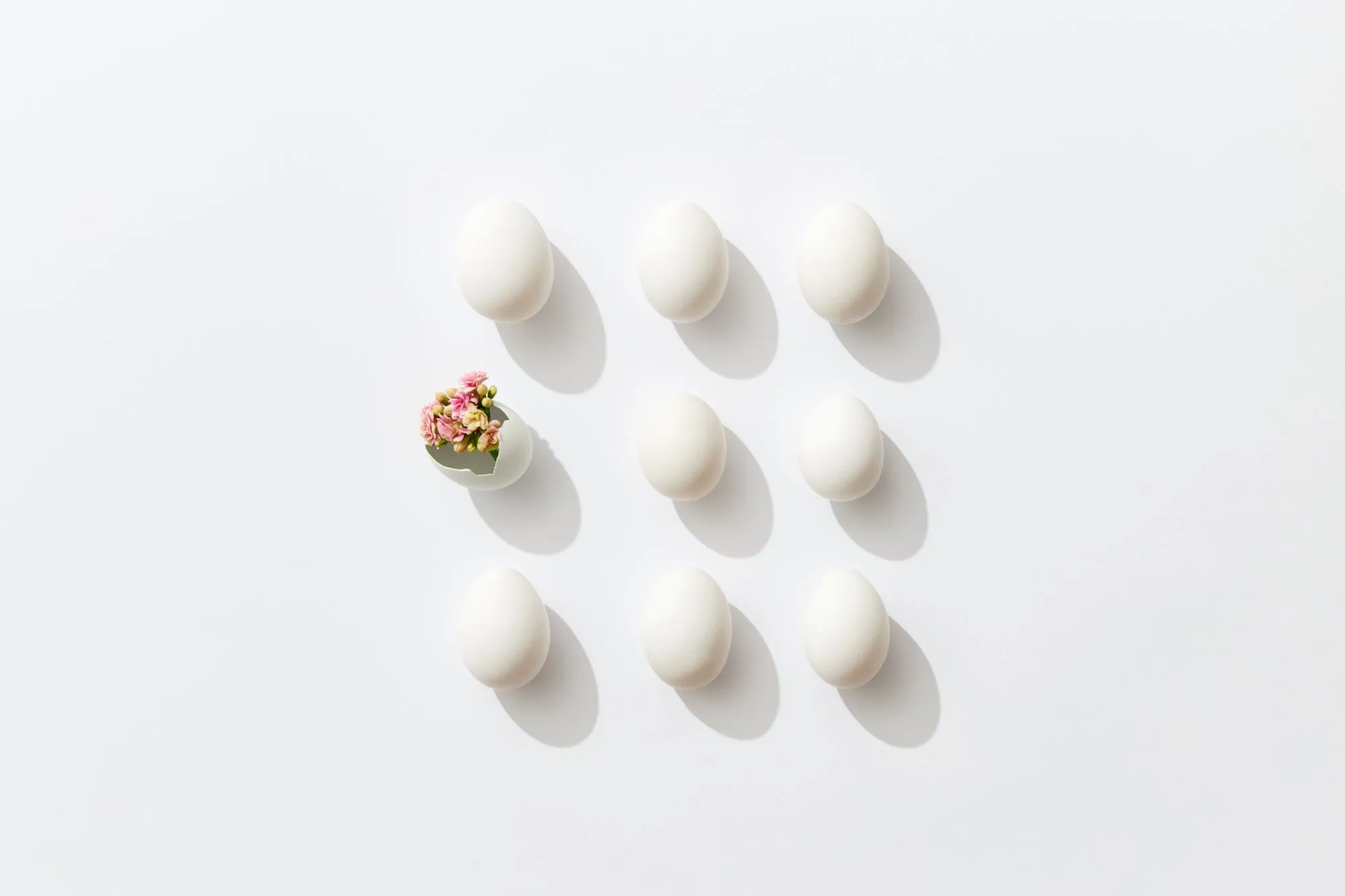 Understanding IUI Success Rates